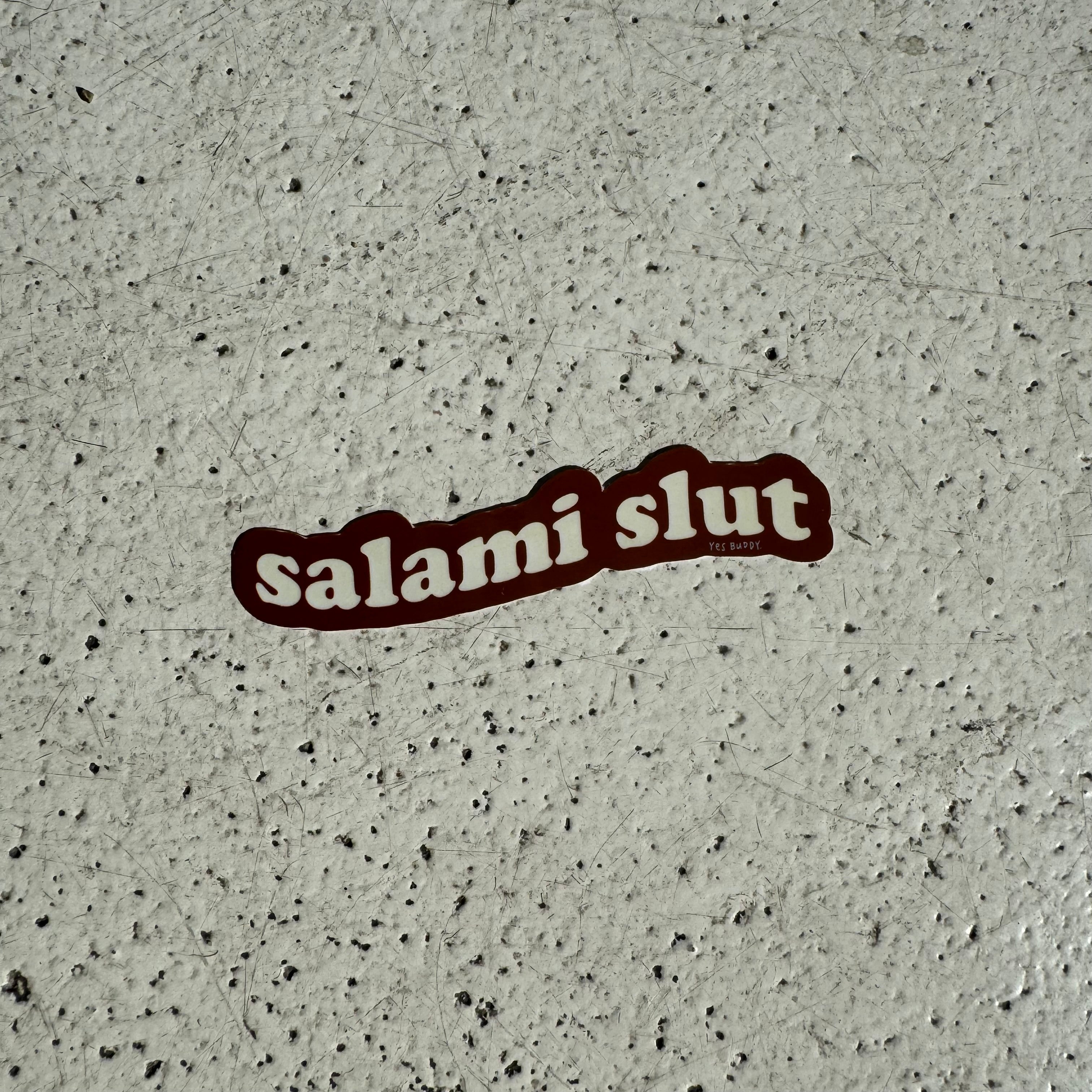 Salami s lut  sticker